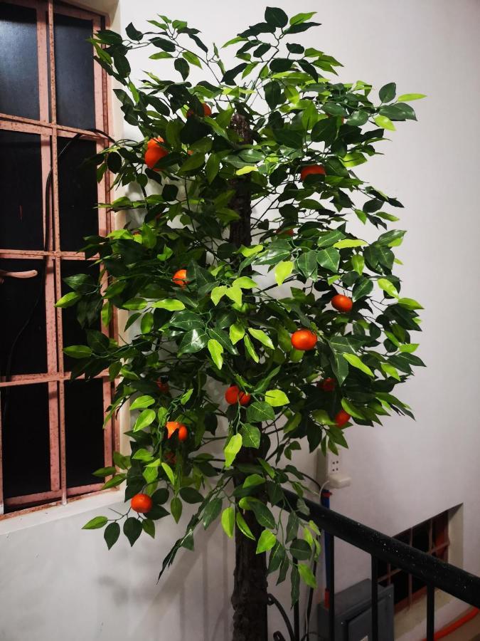 Estrelle Orange House - Backpackers Hub Appartement Puerto Princesa Buitenkant foto
